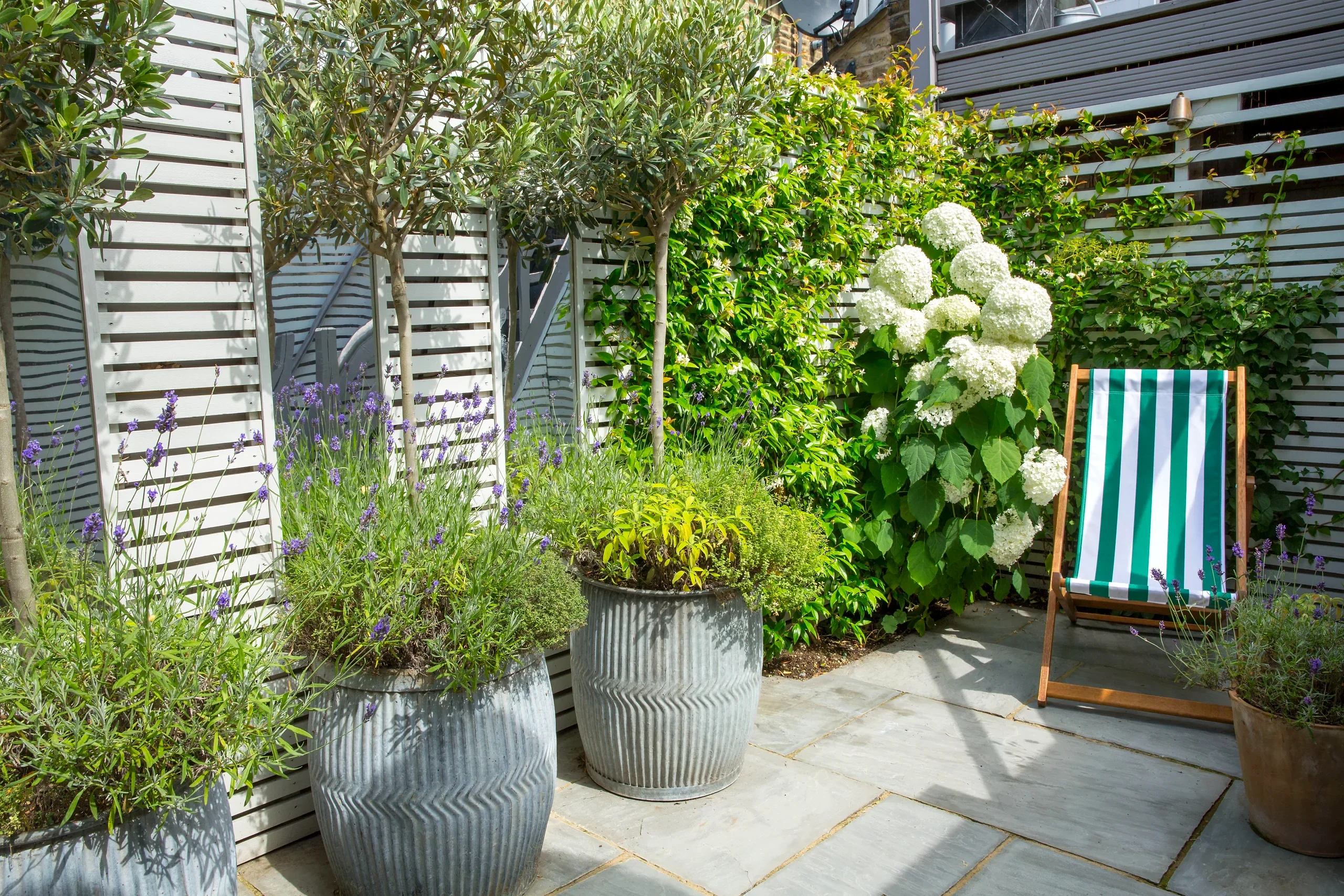 a patio with plants and a chair