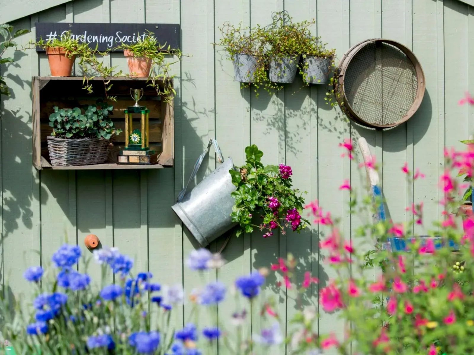 a wall with plants and buckets on it