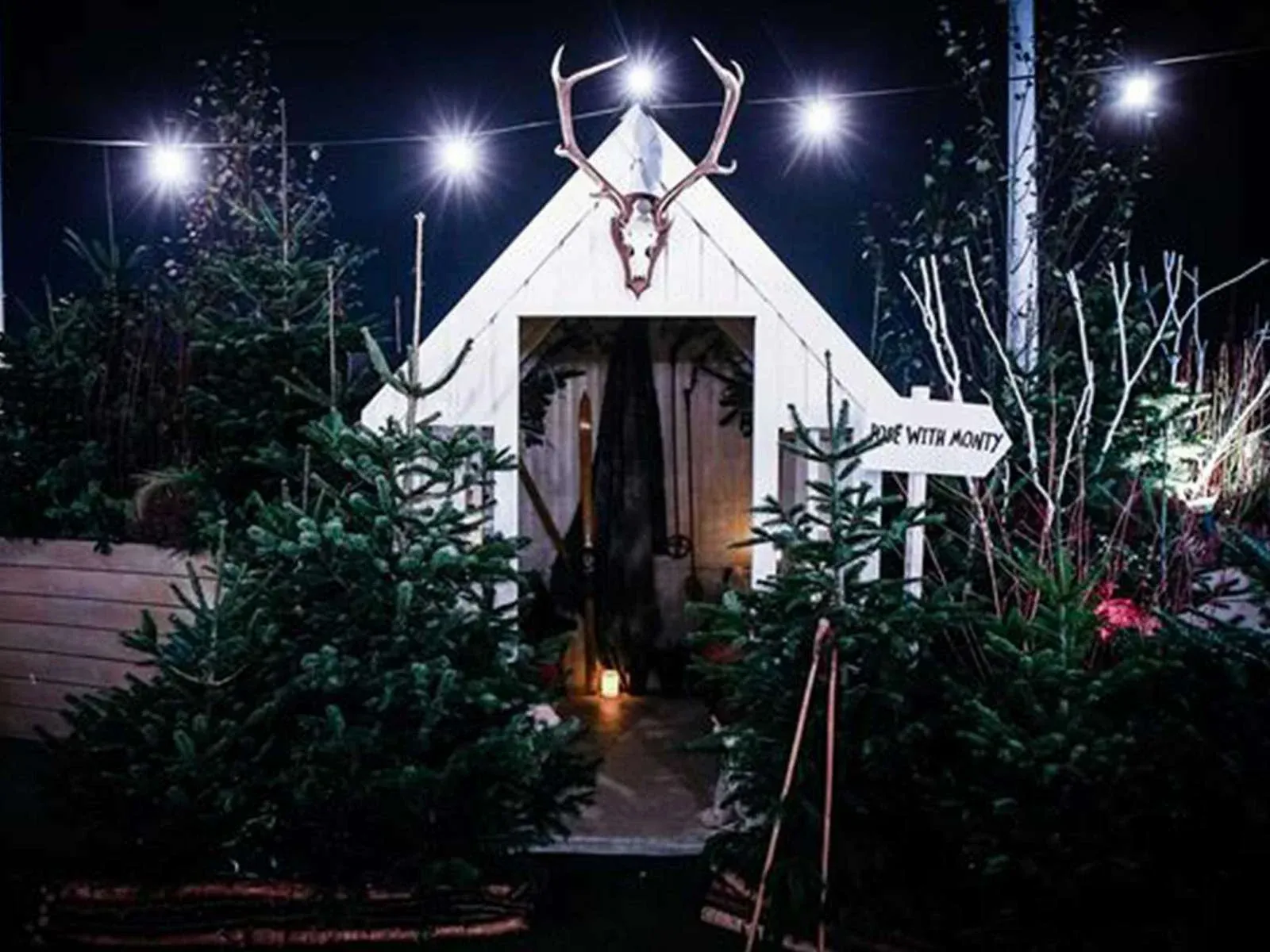 a small white shed with antlers and trees