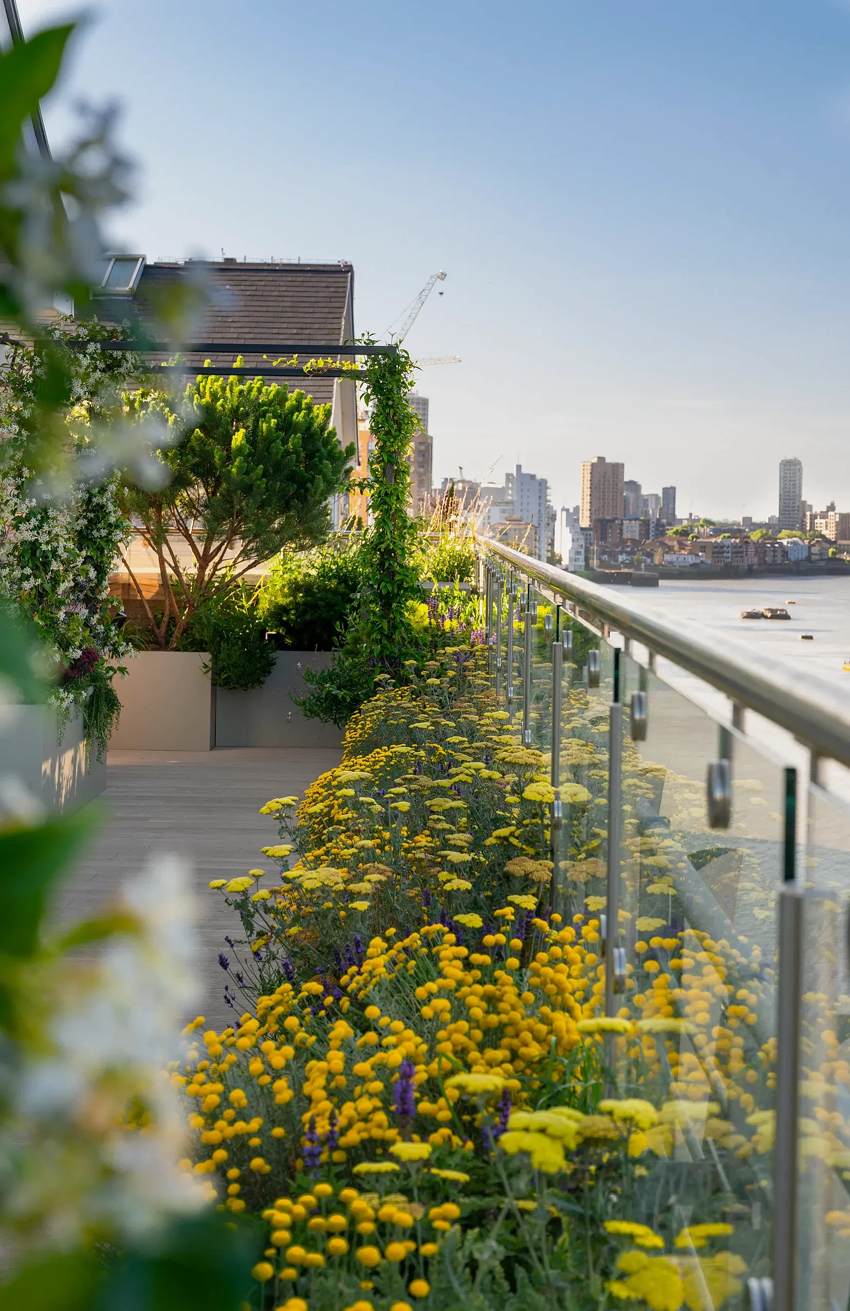 balcony garden