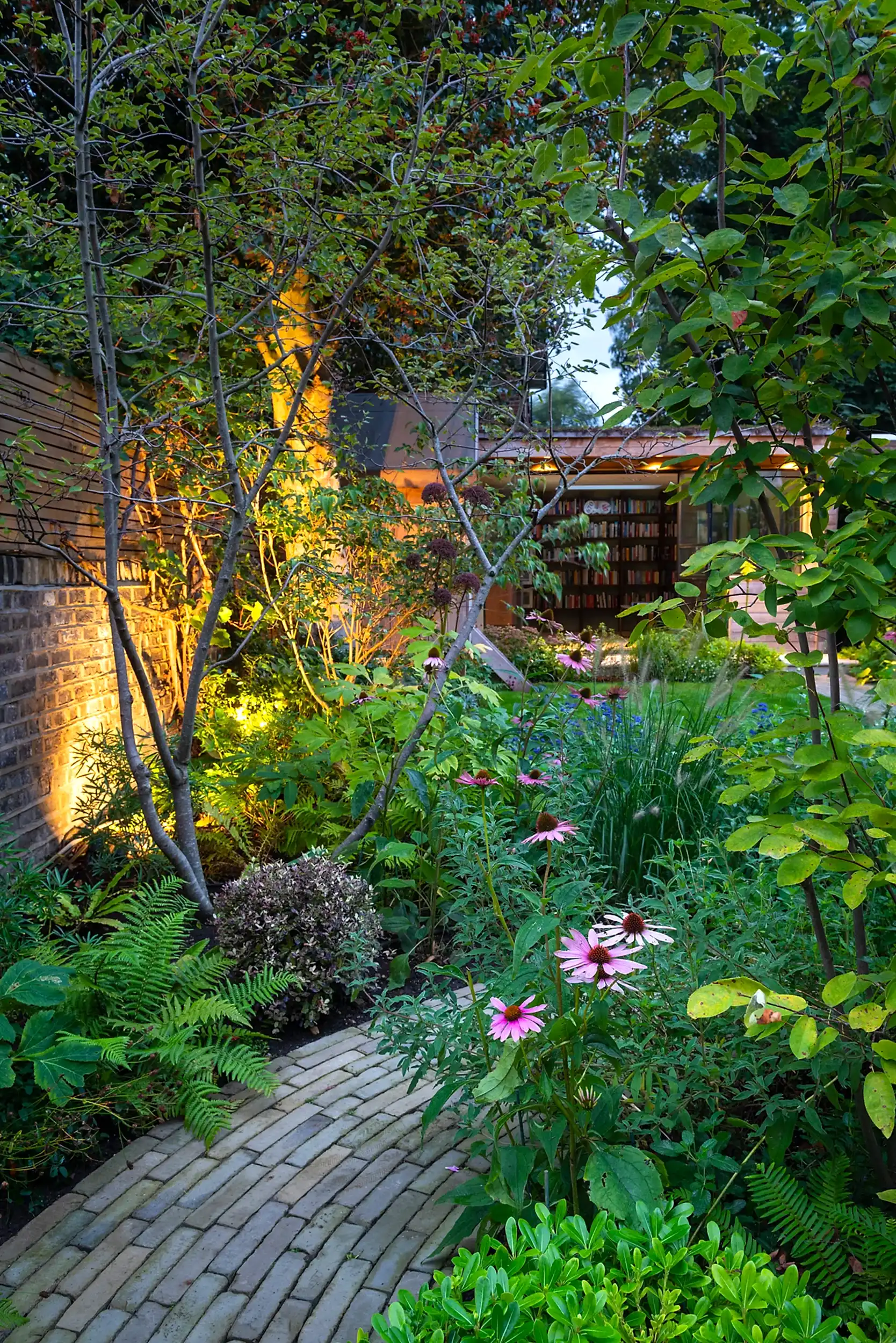 a garden with plants and trees