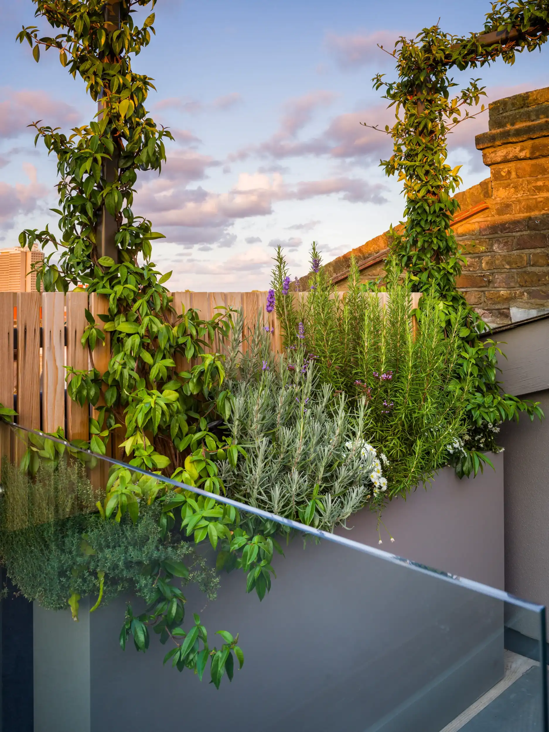 Rooftop plant beds