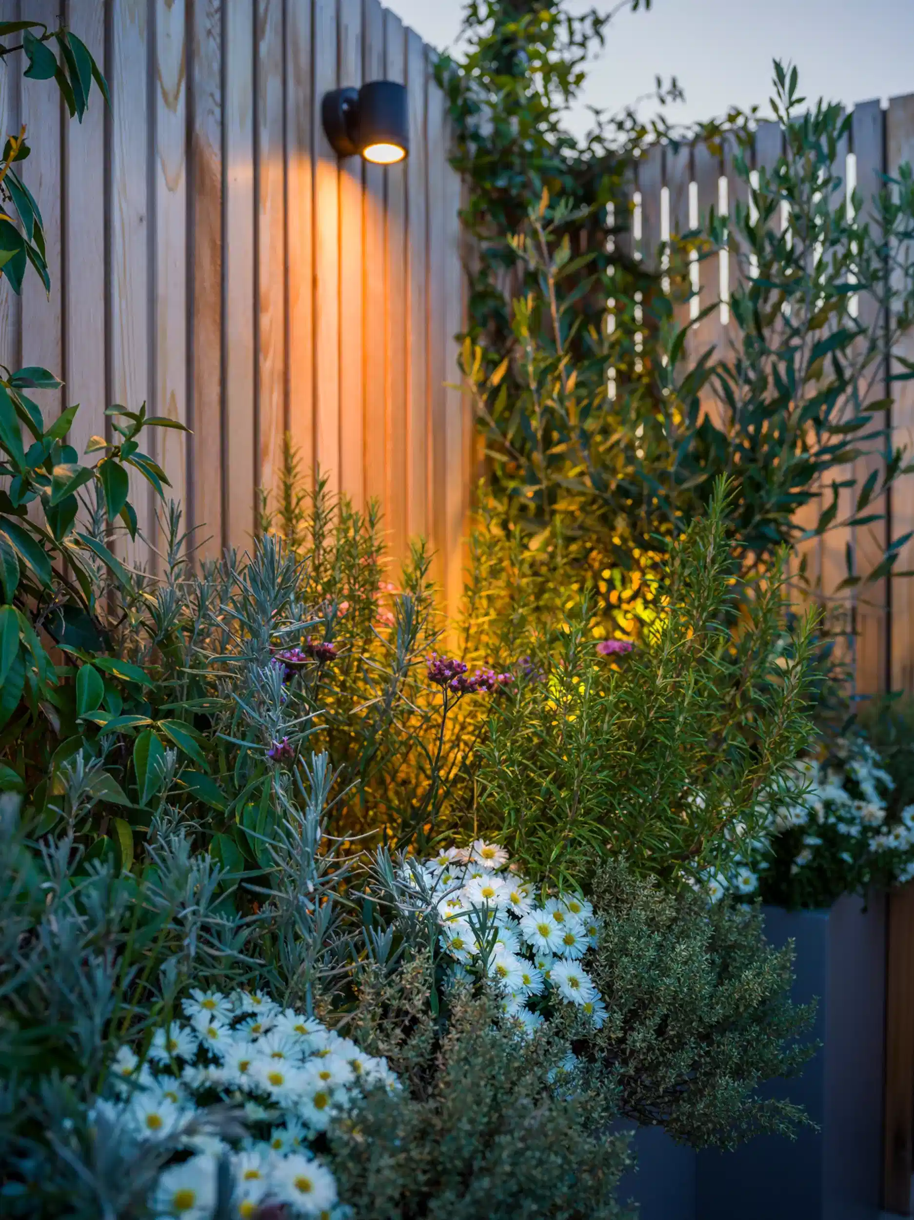 Rooftop planters