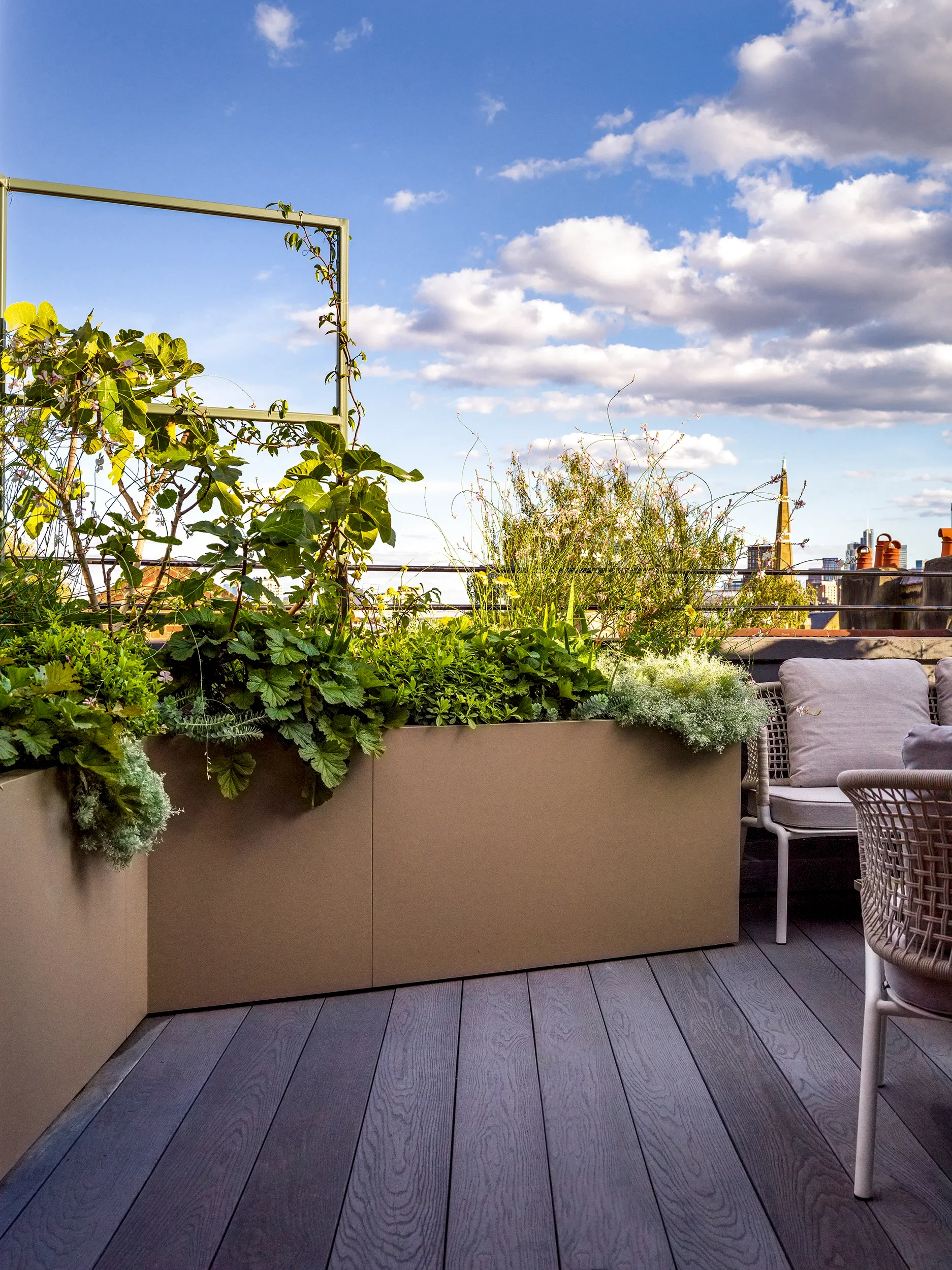 Rooftop terrace planting