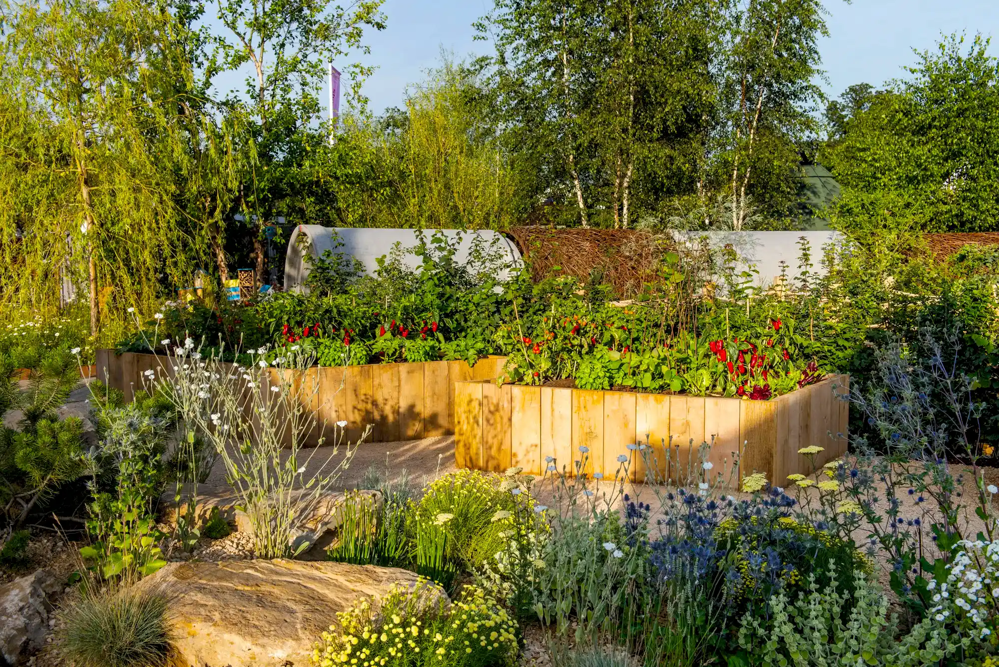 a garden with plants and trees