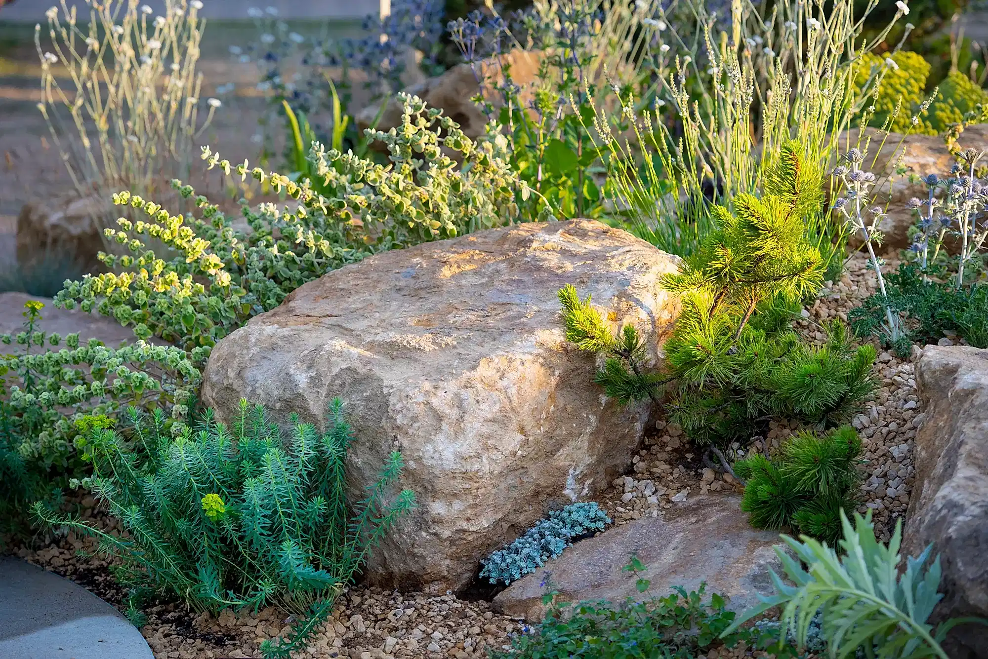 a rock surrounded by plants