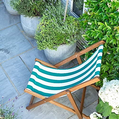 a chair next to plants