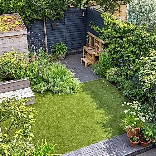 a backyard with a green lawn and plants