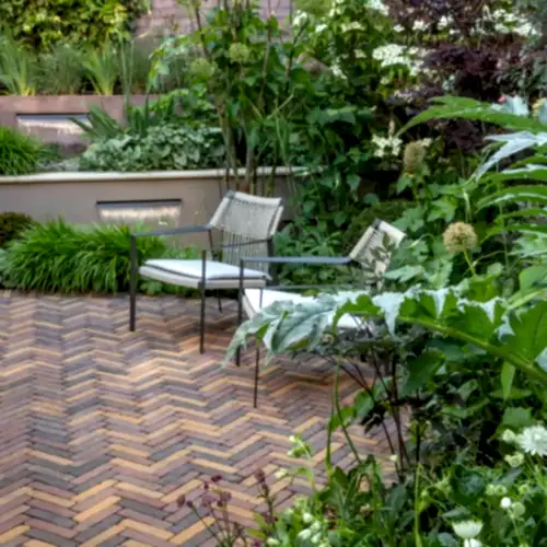 chairs in a garden with plants