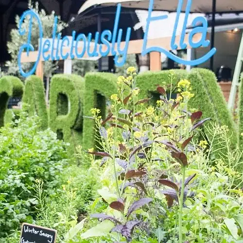 a sign with plants and a sign in the background