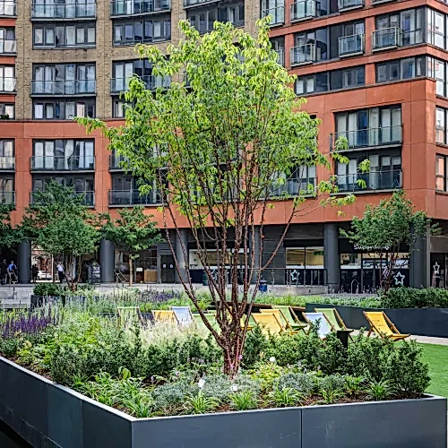 a tree in a square with chairs in front of a building