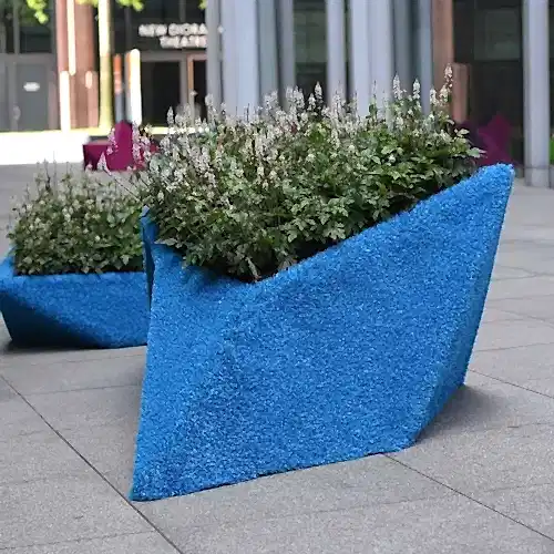 plants in a blue planter