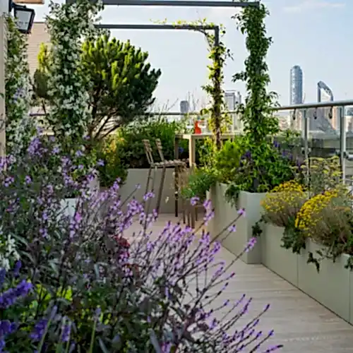 a patio with plants and a bench