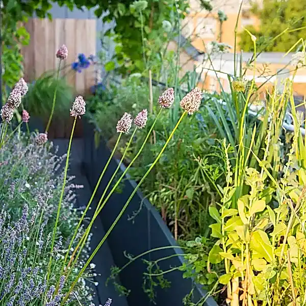 a planter box with flowers