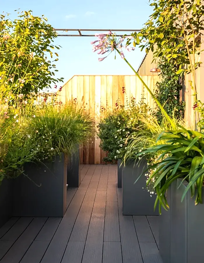 a patio with plants and trees