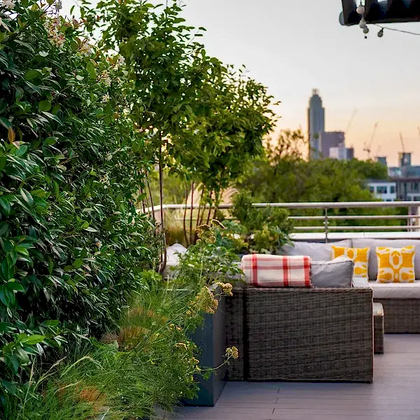 a patio with a couch and plants