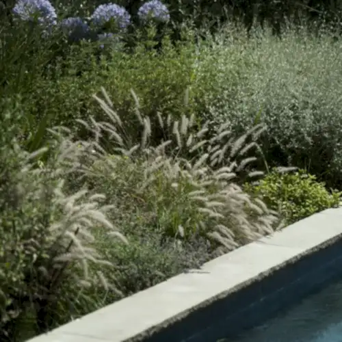 a pool with plants and flowers