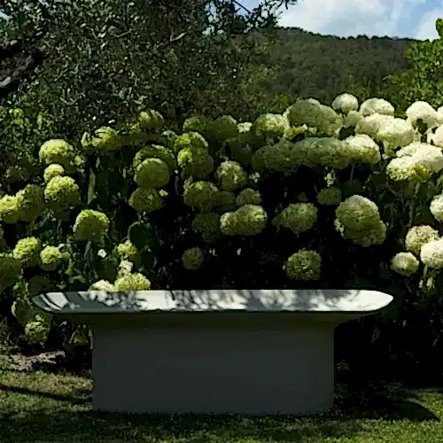 a white bench in a garden