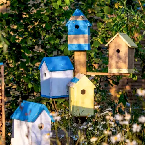 a group of bird houses in a garden