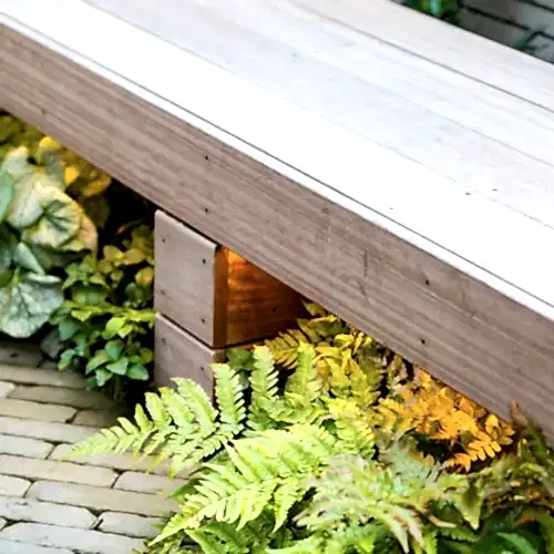 a wooden bench under a plant