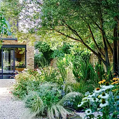 a garden with trees and plants