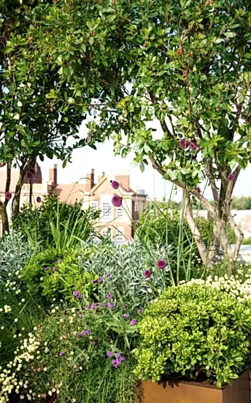 roof terrace garden in London