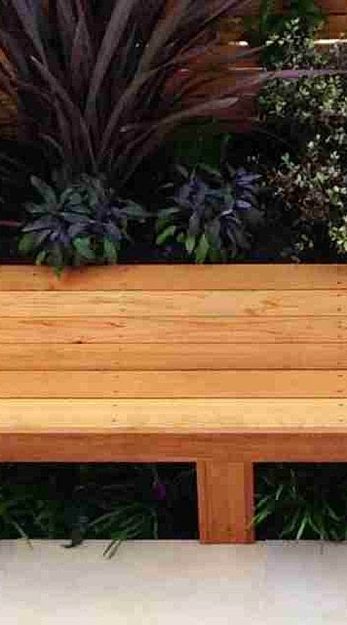 a wooden bench with plants around it