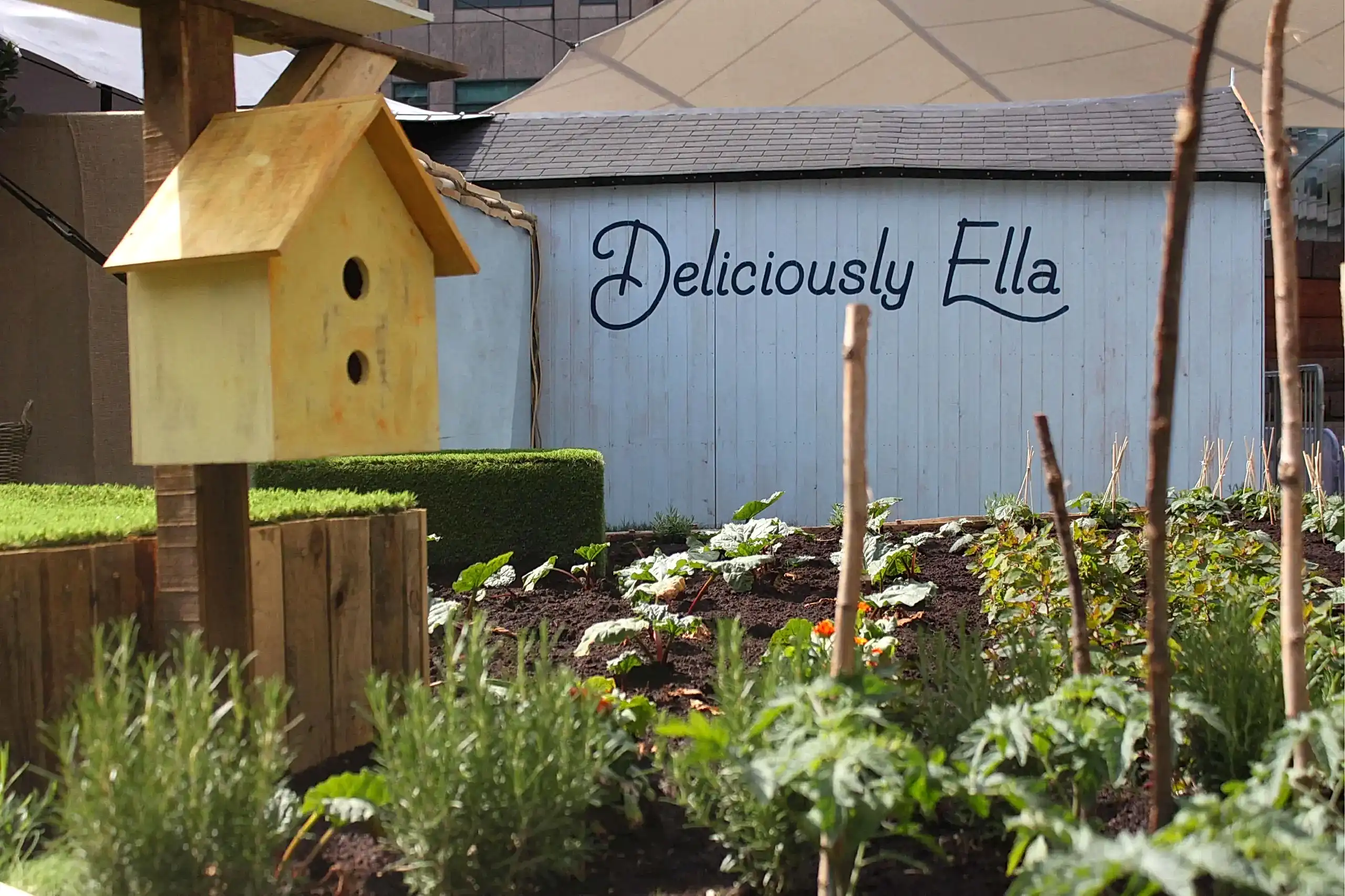 a garden with a birdhouse and plants