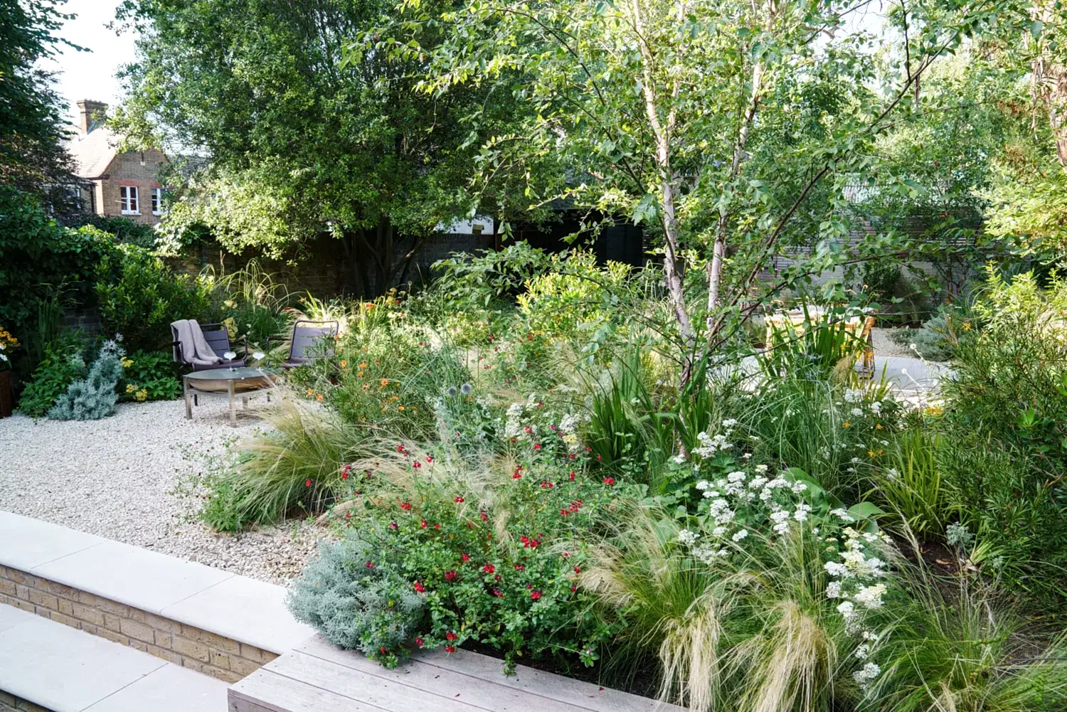 a garden with plants and trees