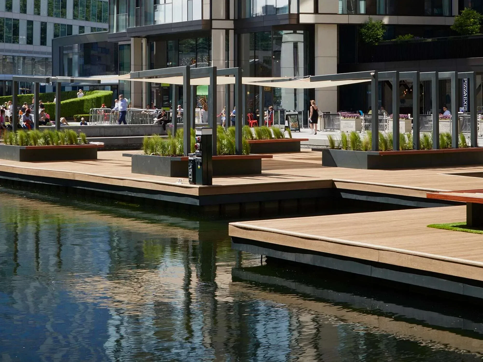 a water with a dock and plants