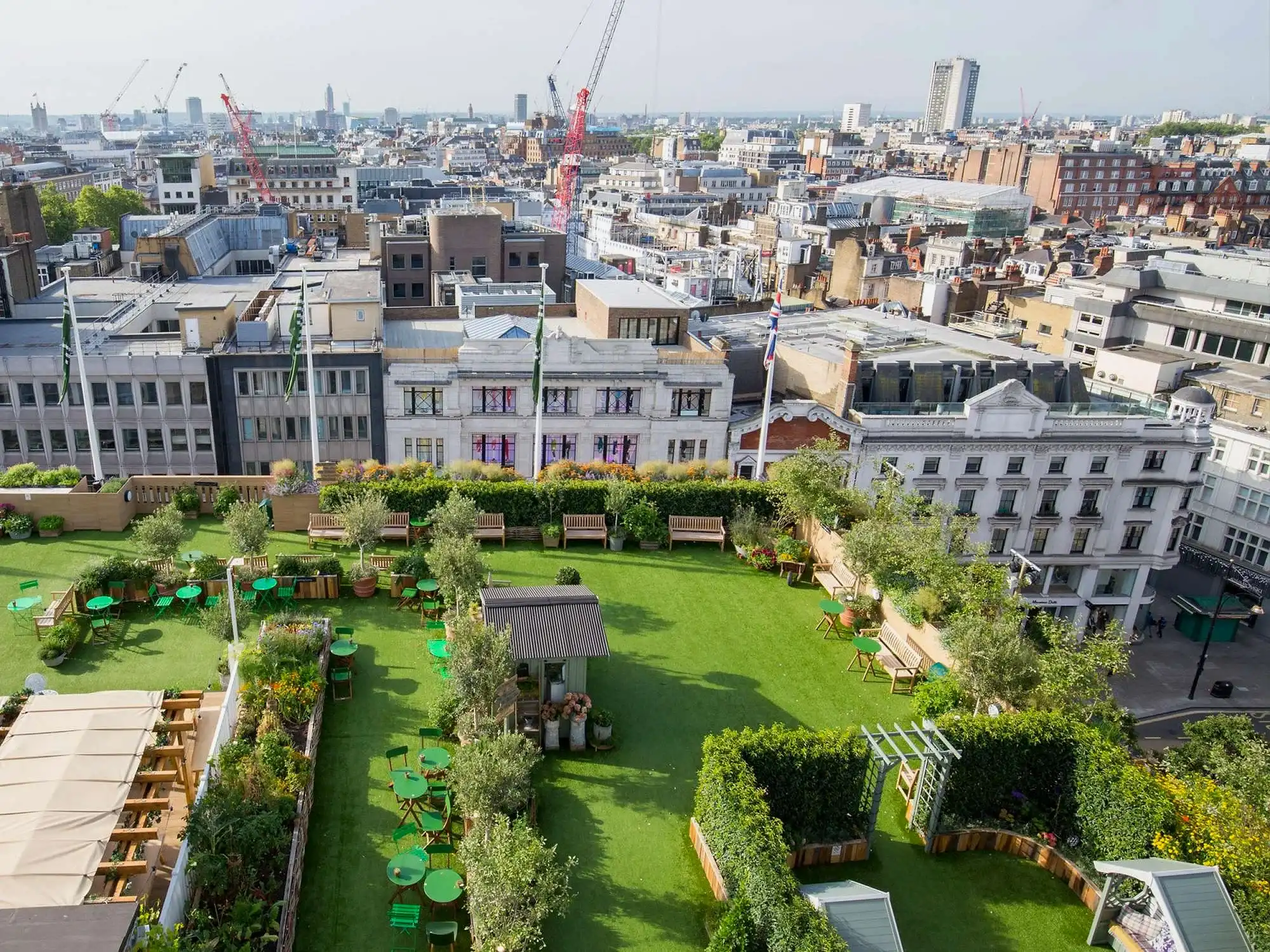 a rooftop garden with green grass and trees and buildings