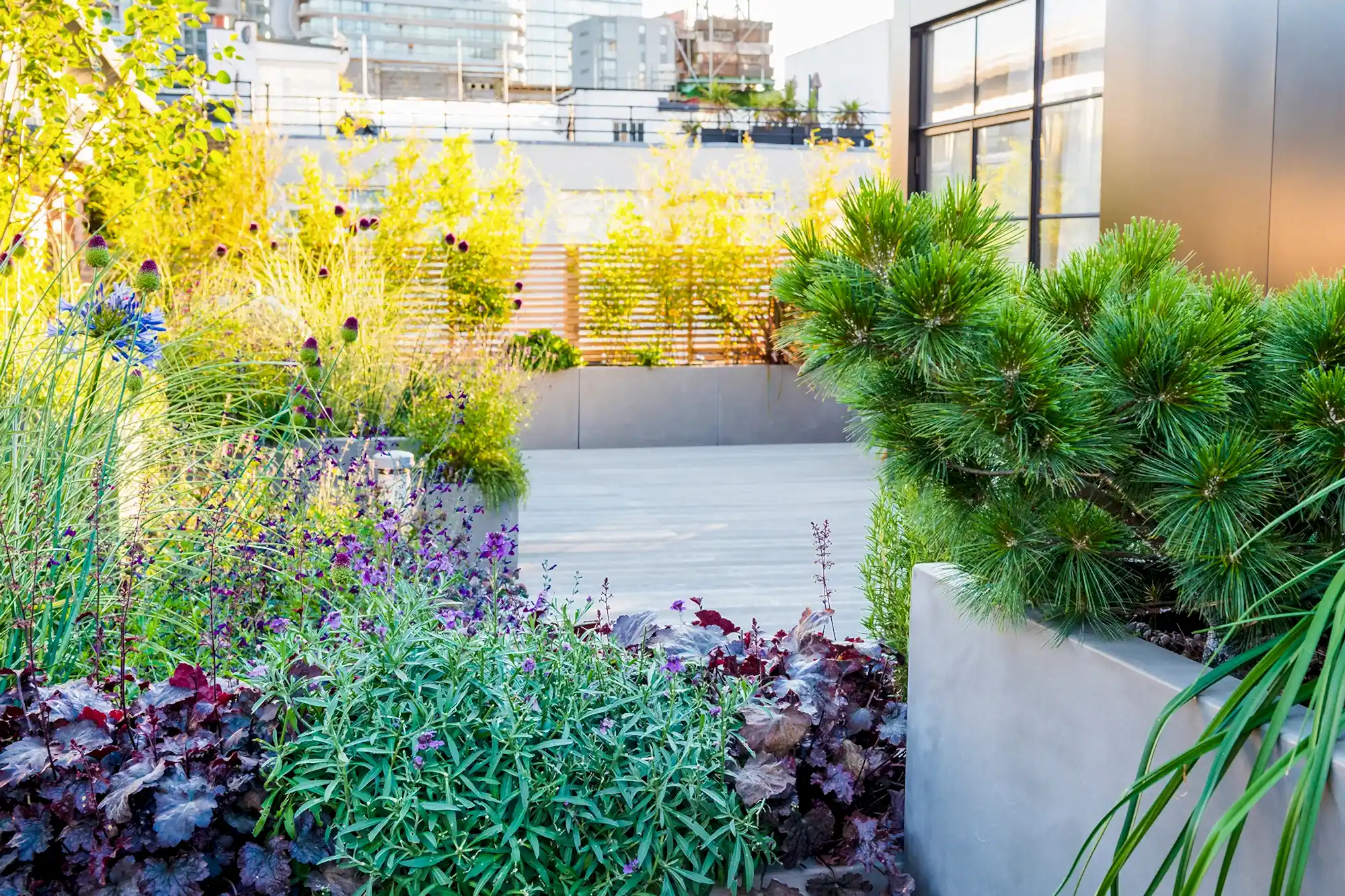 a garden with plants and trees